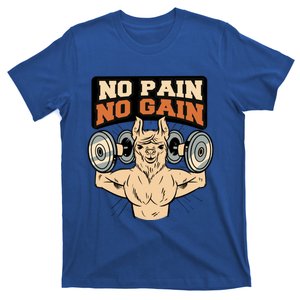 No Pain No Gain Gift T-Shirt