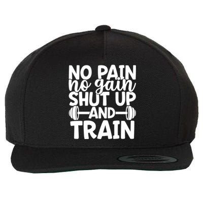 No Pain No Gain Shut Up And Train Gym Workout Motivational Cool Gift Wool Snapback Cap