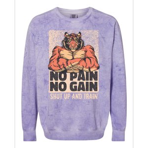 No Pain No Gain Shut Up And Train Funny Gym Motivation Cool Gift Colorblast Crewneck Sweatshirt