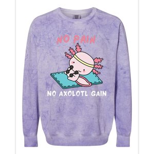 No Pain No Axolotl Gain Cute Axolotl Workout Fitness Lover Colorblast Crewneck Sweatshirt