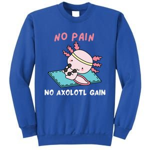 No Pain No Axolotl Gain Cute Axolotl Workout Fitness Lover Sweatshirt