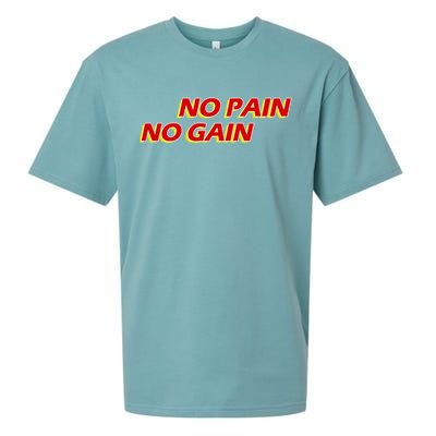 No Pain No Gain Gift Sueded Cloud Jersey T-Shirt