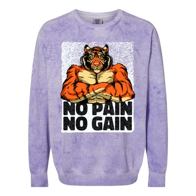 No Pain No Gain Tiger Gym Workout Mma Bodybuilding Fitness Gift Colorblast Crewneck Sweatshirt