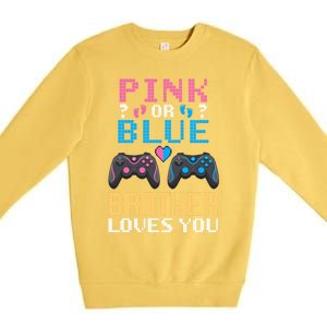 Nx6 Pink Or Blue Gender Reveal For Brother Video Game Lover Gift Premium Crewneck Sweatshirt