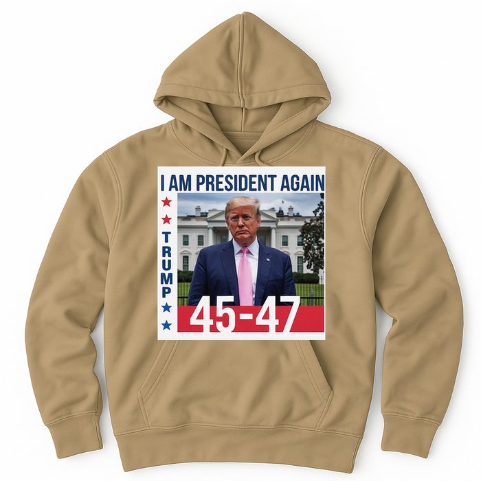 New President Usa America 2024 Trump President 47 Hoodie