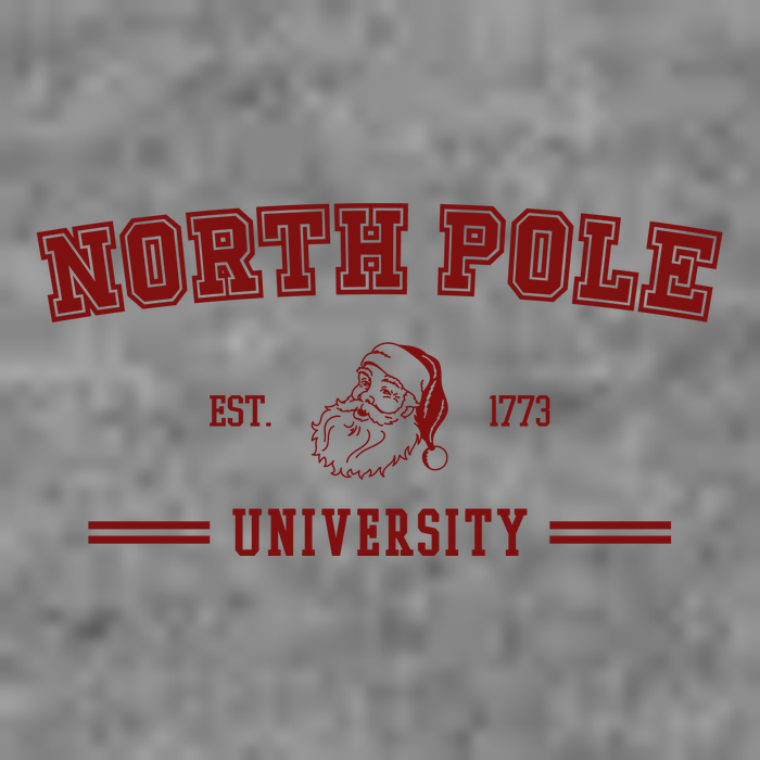 North Pole University Est 1773 Christmas Hoodie