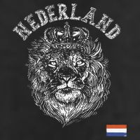 Nederland Reto Netherlands Lion Holland Dutch 11oz C Handle Ceramic Mug