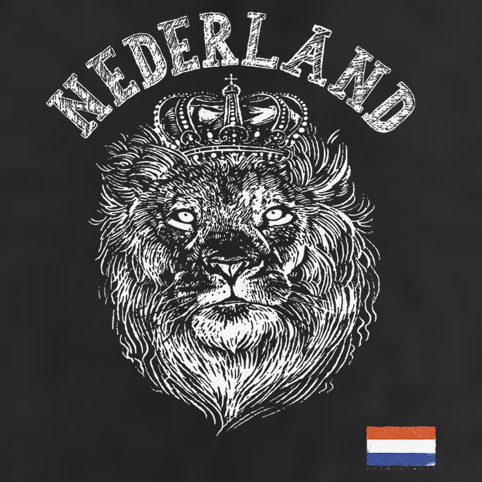 Nederland Reto Netherlands Lion Holland Dutch 11oz C Handle Ceramic Mug