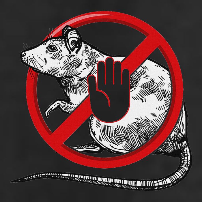 No Rat Sign Stop Snitching Pest Control Cool Novelty Graphic Cool Comfort Performance Bucket Hat