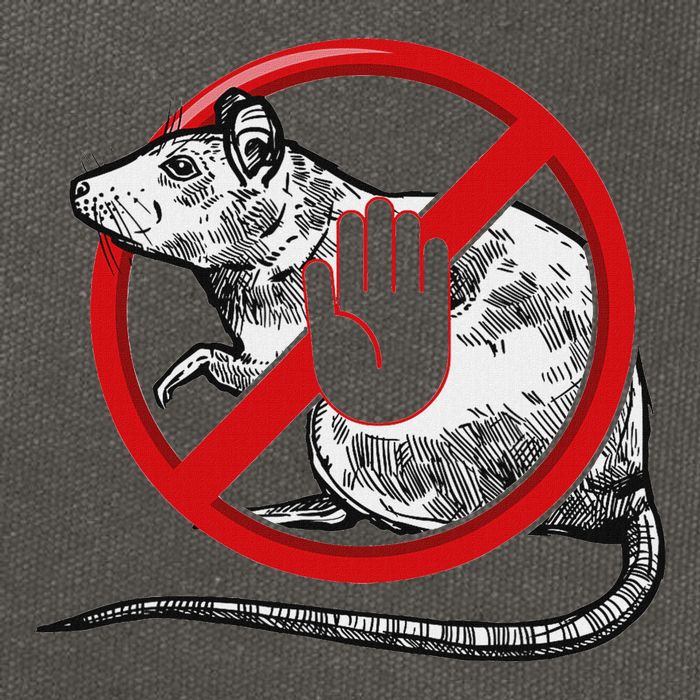 No Rat Sign Stop Snitching Pest Control Cool Novelty Graphic Cotton Canvas Backpack