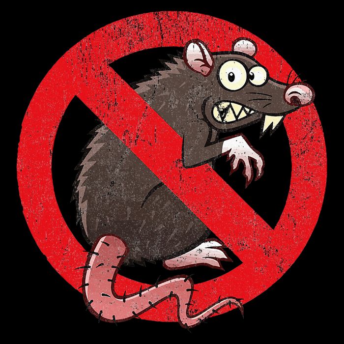 No Rats Union Pest Control Rat Sign Gag No Rats Allowed Flat Bill Trucker Hat
