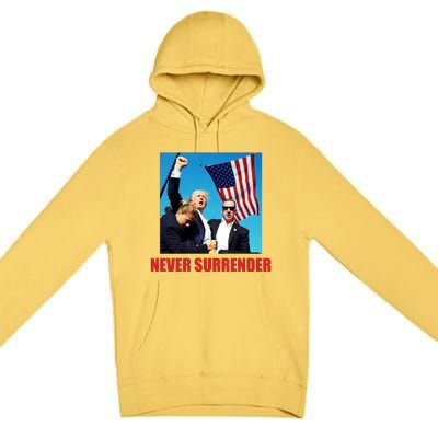 Never Surrender 2024 Take America Back Pennsylvania Rally Shooting Premium Pullover Hoodie