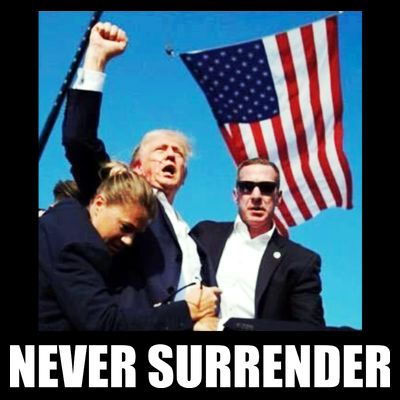 Never Surrender 2024 Take America Back Pennsylvania Rally Shooting T-Shirt