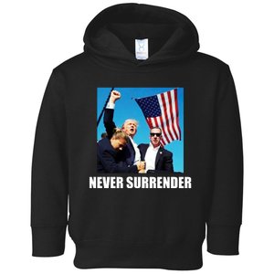 Never Surrender 2024 Take America Back Pennsylvania Rally Shooting Toddler Hoodie