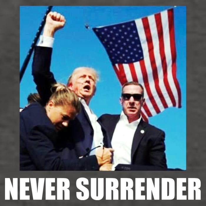 Never Surrender 2024 Take America Back Pennsylvania Rally Shooting Vector Backpack