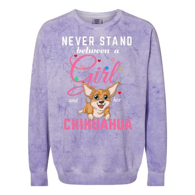 Never Stand Between A Girl And Her Chihuahua Colorblast Crewneck Sweatshirt