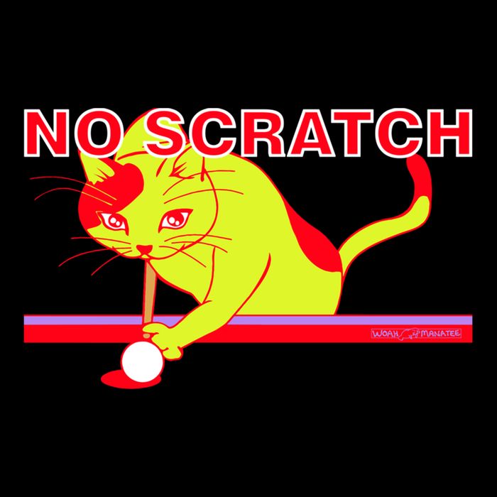 No Scratch Billiards Cat Pool Table Meaningful Gift Backpack