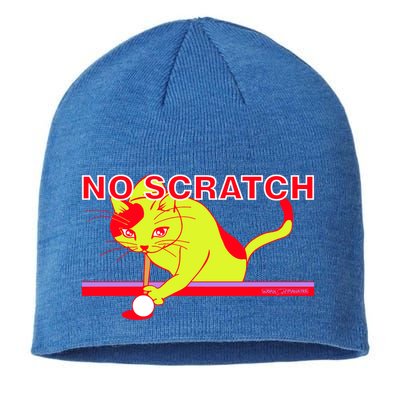 No Scratch Billiards Cat Pool Table Meaningful Gift Sustainable Beanie