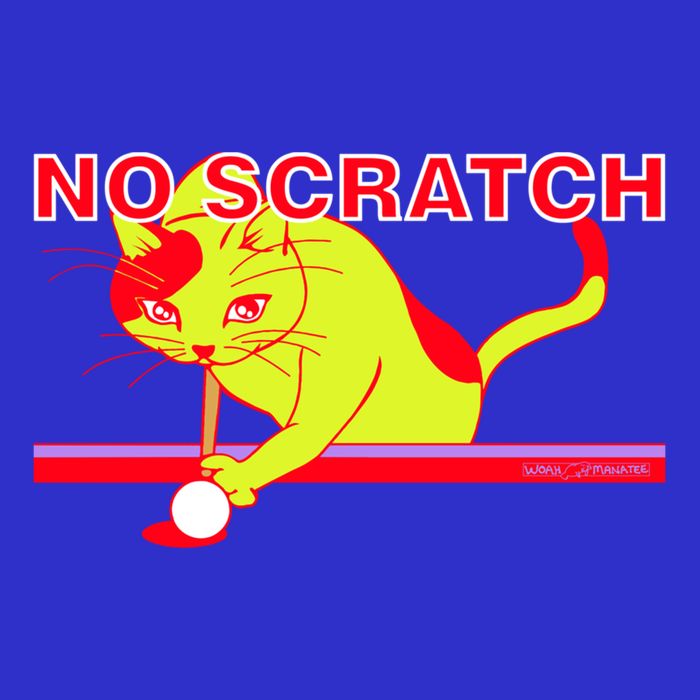 No Scratch Billiards Cat Pool Table Meaningful Gift 16 in Basic Backpack