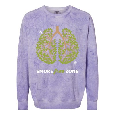 No Smoking Cute Gift Smoke Free Zone For World No Tobacco Day Gift Colorblast Crewneck Sweatshirt