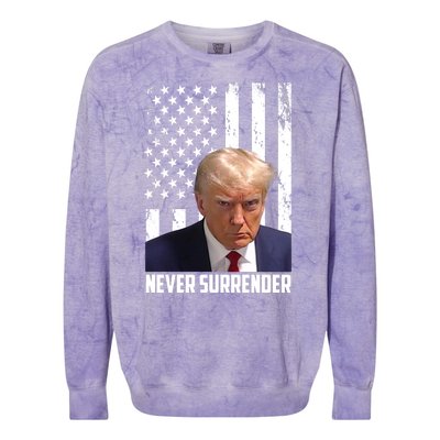 Never Surrender Donald Trump American Flag Mugshot Colorblast Crewneck Sweatshirt