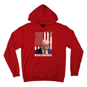 Never Surrender Donald Trump American Flag Mugshot Hoodie