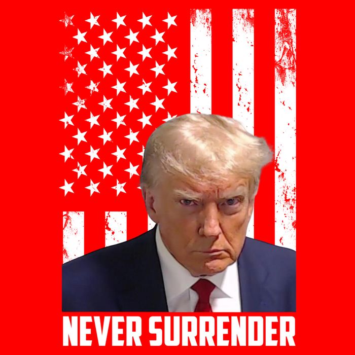 Never Surrender Donald Trump American Flag Mugshot Tall T-Shirt