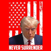 Never Surrender Donald Trump American Flag Mugshot V-Neck T-Shirt