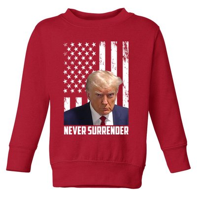 Never Surrender Donald Trump American Flag Mugshot Toddler Sweatshirt