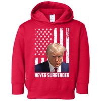 Never Surrender Donald Trump American Flag Mugshot Toddler Hoodie