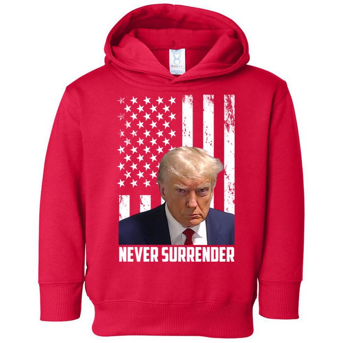 Never Surrender Donald Trump American Flag Mugshot Toddler Hoodie