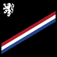 Netherlands Soccer Dutch Logo Flag Flat Bill Trucker Hat