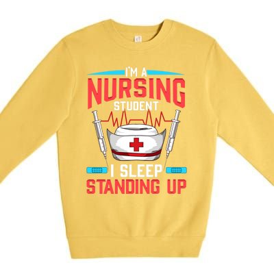 Nursing Student Funny Gift Future Nurse Meaningful Gift Premium Crewneck Sweatshirt