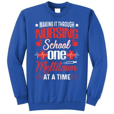 Nursing School Funny Nursing Student Nurses Day Gift Cool Gift Sweatshirt