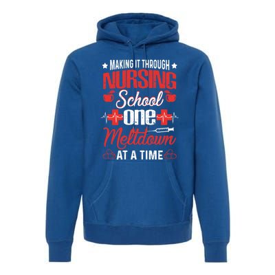 Nursing School Funny Nursing Student Nurses Day Gift Cool Gift Premium Hoodie