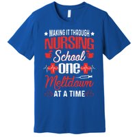 Nursing School Funny Nursing Student Nurses Day Gift Cool Gift Premium T-Shirt