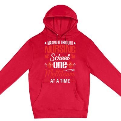 Nursing School Funny Nursing Student Nurses Day Gift Cool Gift Premium Pullover Hoodie