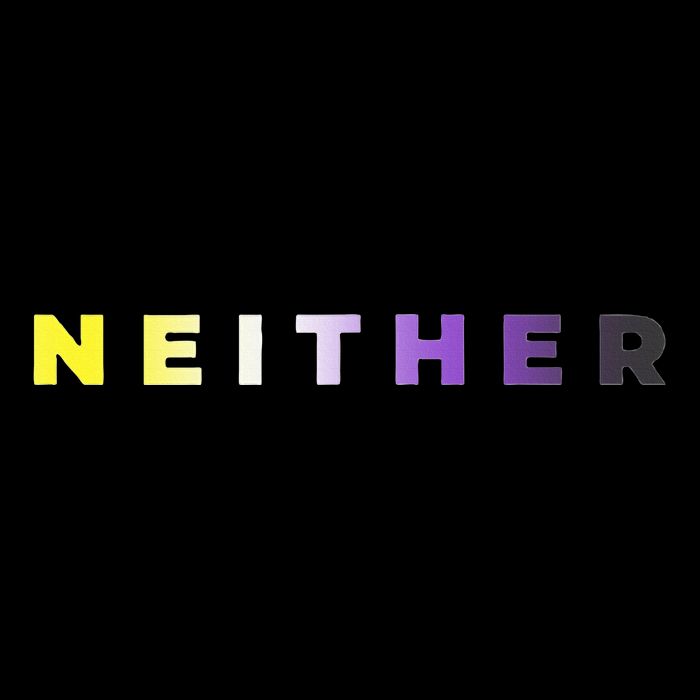 Neither Subtle Flag Enby T-Shirt