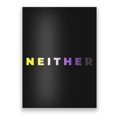 Neither Subtle Flag Enby Poster