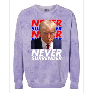 Never Surrender Fingerprint USA President Donald Trump 2024 Gift Colorblast Crewneck Sweatshirt