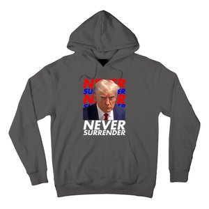 Never Surrender Fingerprint USA President Donald Trump 2024 Gift Hoodie