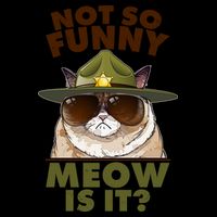 Not So Funny Meow Is It Grumpy Cat Police Trooper 16oz Travel Tumbler