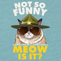 Not So Funny Meow Is It Grumpy Cat Police Trooper Sueded Cloud Jersey T-Shirt