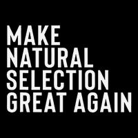 Natural Selection Humorous Funny Memes Humor Sarcastic Gift Bucket Hat