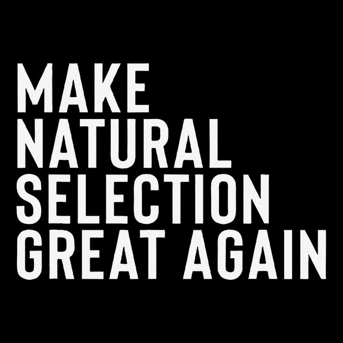 Natural Selection Humorous Funny Memes Humor Sarcastic Gift 16 in Basic Backpack
