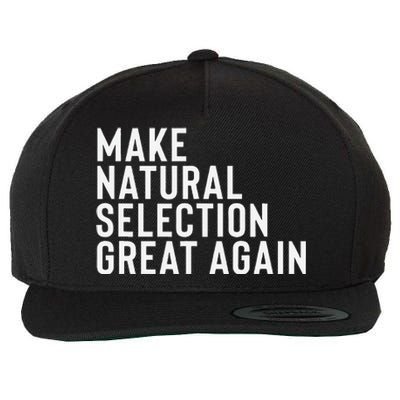 Natural Selection Humorous Funny Memes Humor Sarcastic Gift Wool Snapback Cap