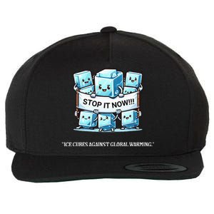 Novelty Stop It Now!!! Global Warming Awareness Wool Snapback Cap