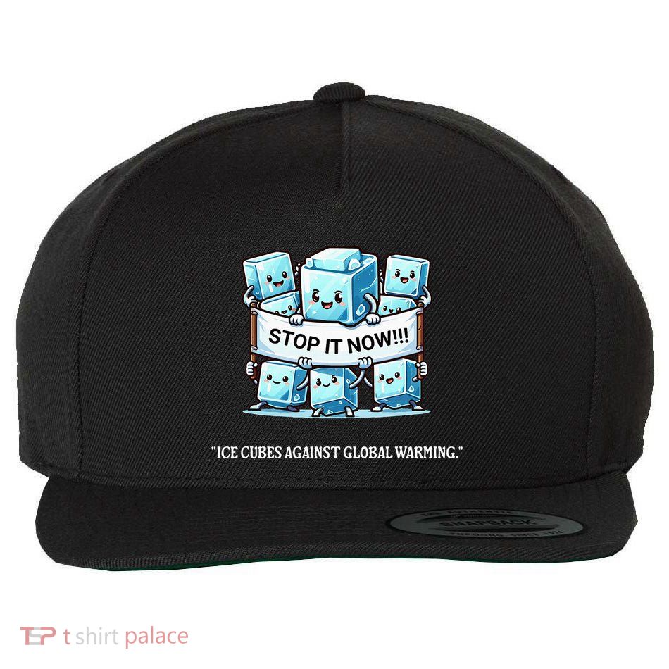 Novelty Stop It Now!!! Global Warming Awareness Wool Snapback Cap