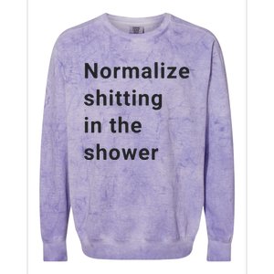 Normalize Shitting In The Shower Dank Meme Colorblast Crewneck Sweatshirt