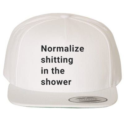 Normalize Shitting In The Shower Dank Meme Wool Snapback Cap